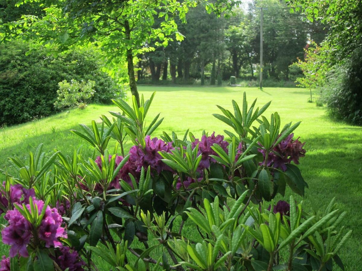 Hope Cottage Modbury Экстерьер фото